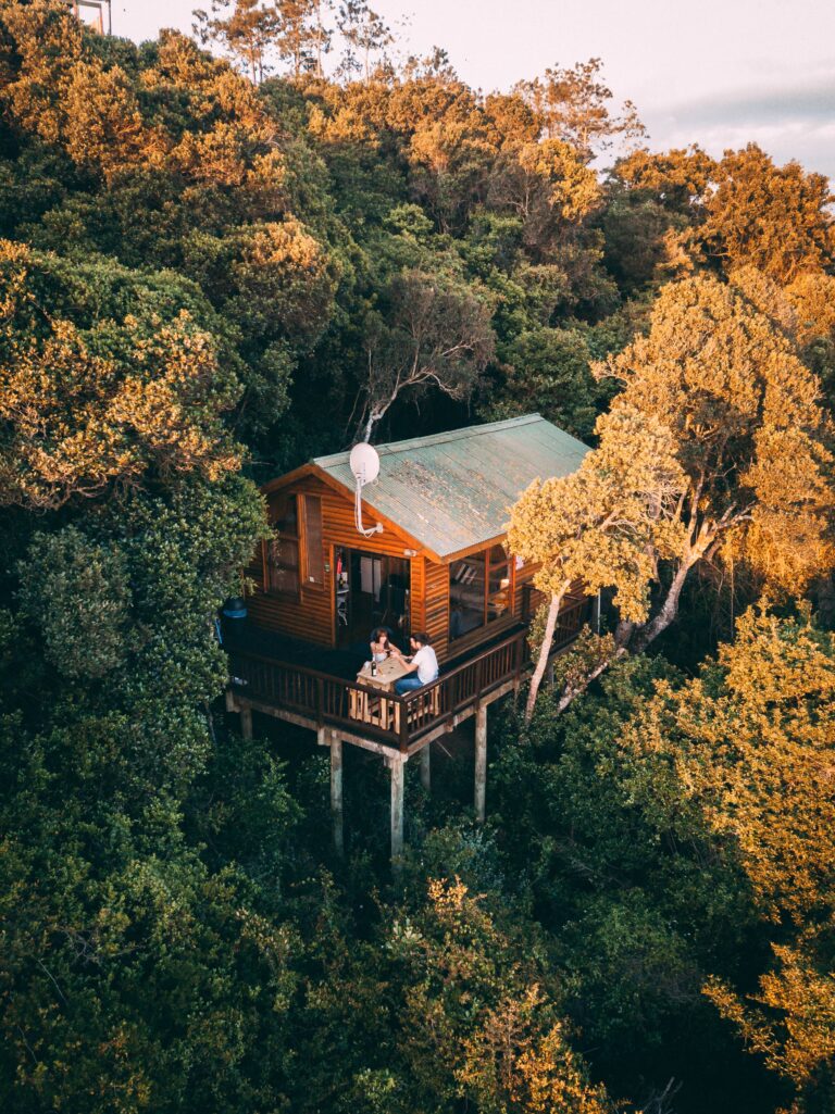 tree house 768x1025