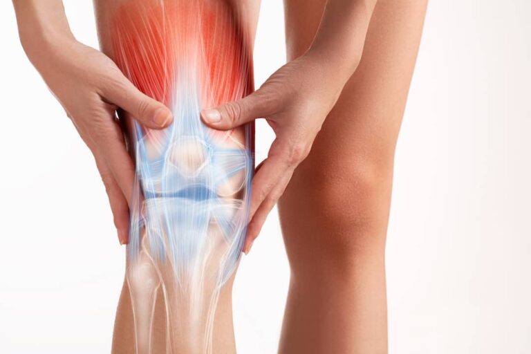 3D render of knee muscles holding knee Tendonitis shutterstock 754068814 Small 768x512