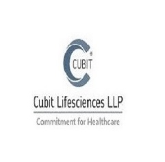 cubit Logo1 1