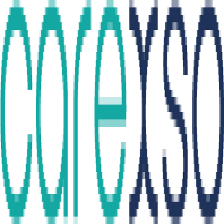 Carexso logo
