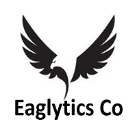 Eaglytics Co 1 Copy