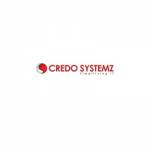 systemzcredosystemz chennai