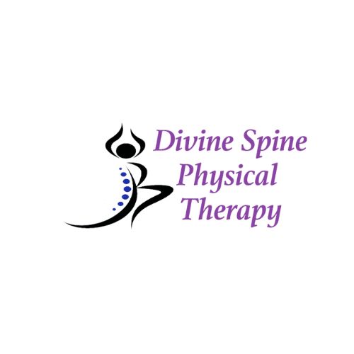 Divinespine physical therapy Logo