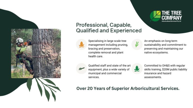 The Tree Company Cover Banner 768x433