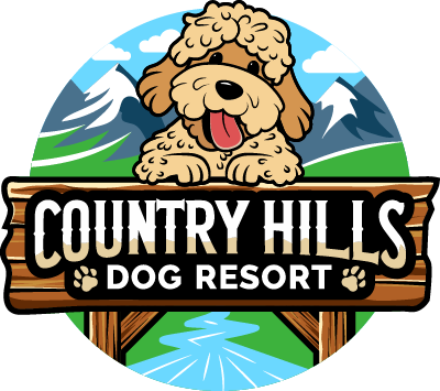 country hills dog resort logo