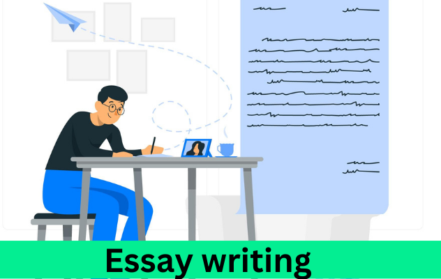 Essay writing