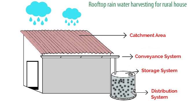 roof top rainwater