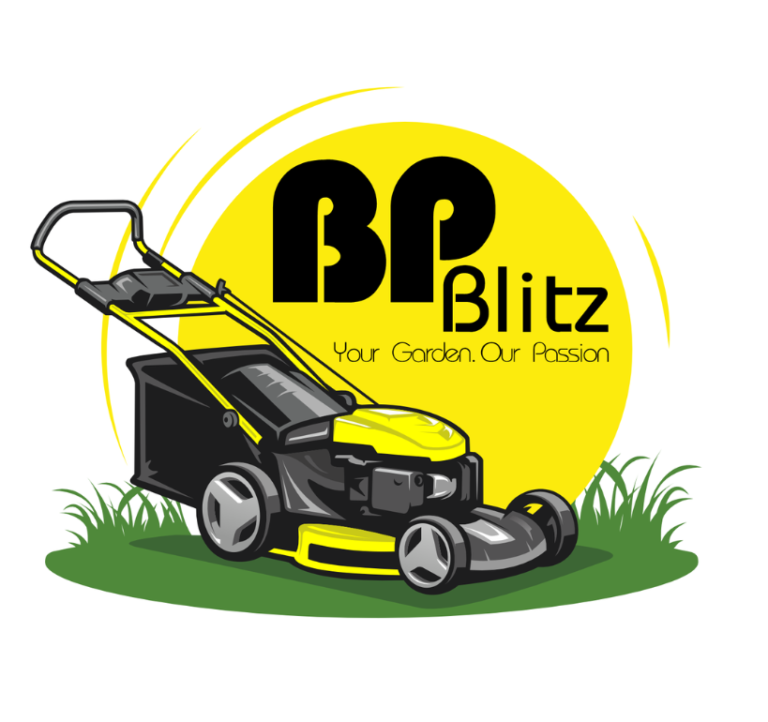 BP Blitz 768x722