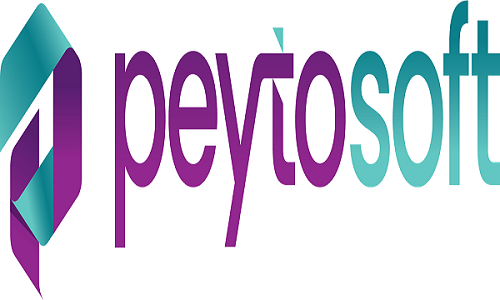 Peytosoft R8 Copy