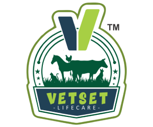 vertset logo