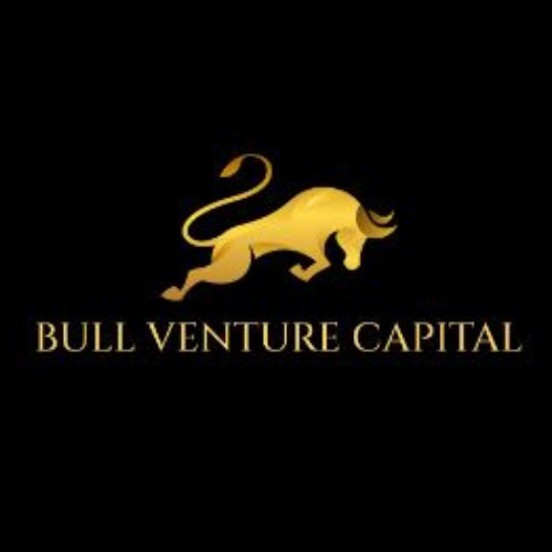 bull venture original logo