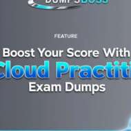 awsclouddumpsguide